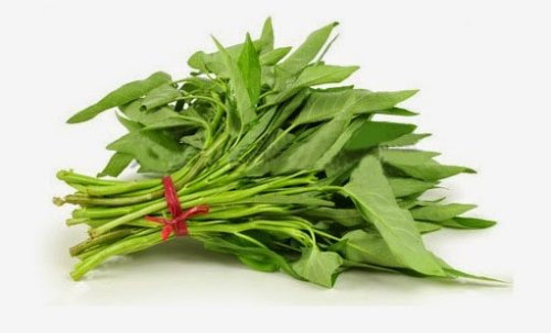 Manfaat-Kangkung-Untuk-Kesehatan-tokomesin
